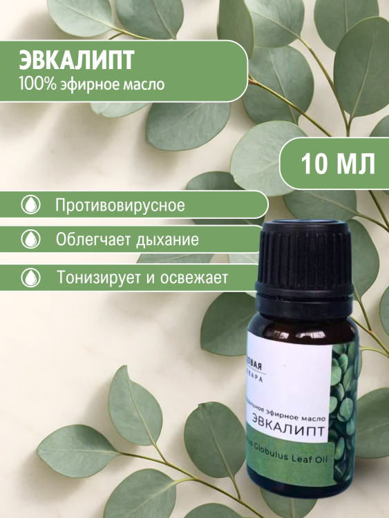 Эфирное масло эвкалипта (Eucalyptus Globulus)